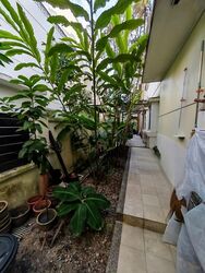 The Springside (D26), Terrace #523724851